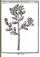  no thumbnail available