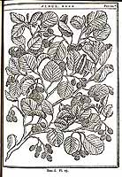  no thumbnail available