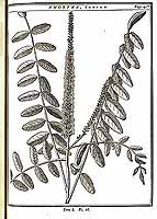  no thumbnail available