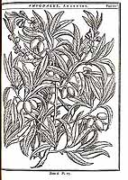  no thumbnail available