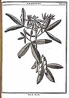  no thumbnail available