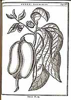  no thumbnail available