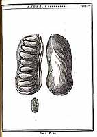  no thumbnail available