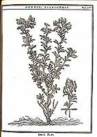  no thumbnail available