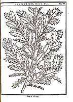  no thumbnail available