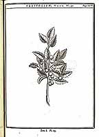  no thumbnail available