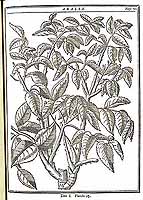  no thumbnail available