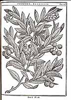  no thumbnail available