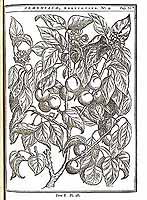  no thumbnail available