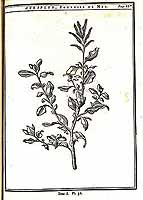  no thumbnail available