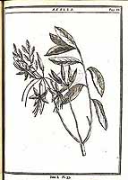  no thumbnail available