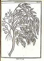  no thumbnail available