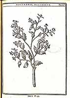  no thumbnail available