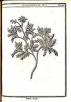  no thumbnail available