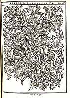  no thumbnail available