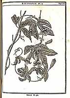  no thumbnail available