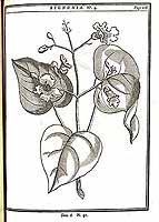  no thumbnail available