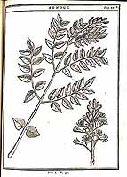  no thumbnail available