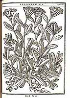  no thumbnail available