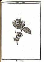  no thumbnail available