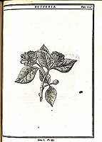  no thumbnail available