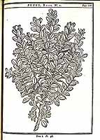  no thumbnail available