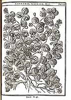  no thumbnail available