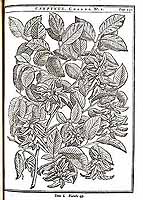  no thumbnail available