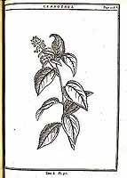  no thumbnail available