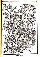  no thumbnail available