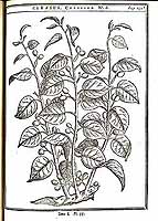  no thumbnail available