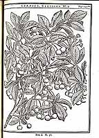  no thumbnail available