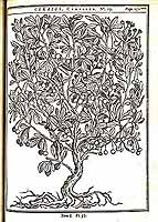  no thumbnail available