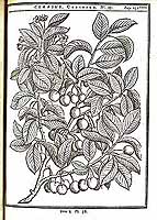  no thumbnail available