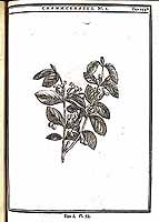  no thumbnail available