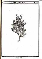  no thumbnail available