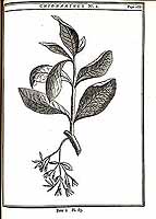  no thumbnail available