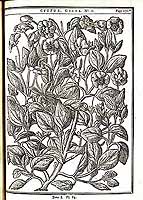  no thumbnail available