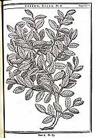  no thumbnail available