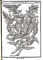  no thumbnail available