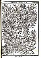  no thumbnail available