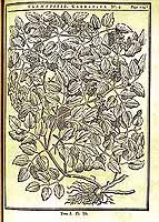  no thumbnail available