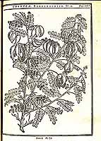  no thumbnail available