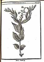  no thumbnail available