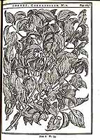  no thumbnail available