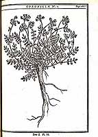  no thumbnail available