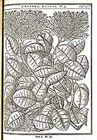  no thumbnail available