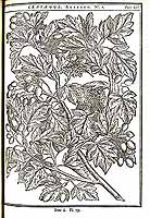  no thumbnail available