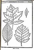  no thumbnail available