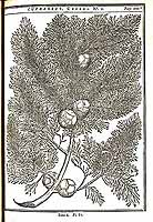  no thumbnail available